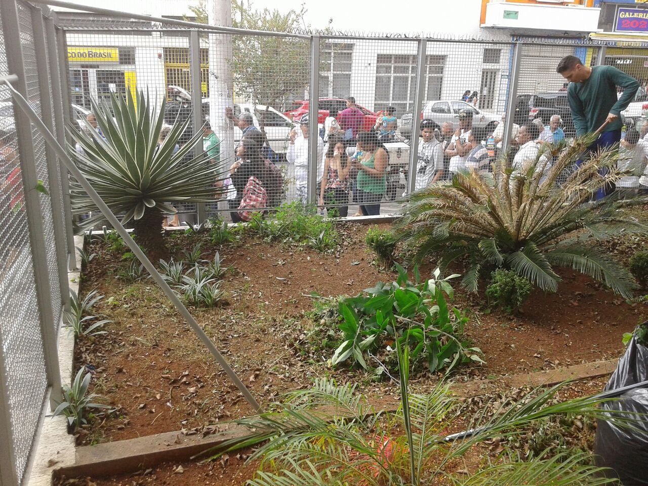 Limpeza de Jardim - Banco Santander